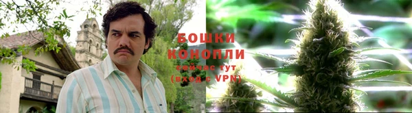 спиды Вяземский