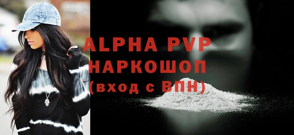 спиды Вяземский