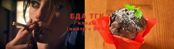 спиды Вяземский