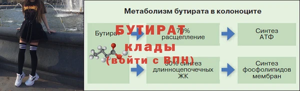 спиды Вяземский