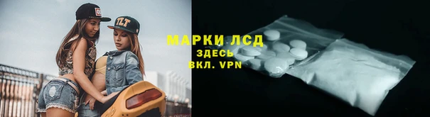 спиды Вяземский