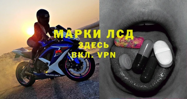 спиды Вяземский