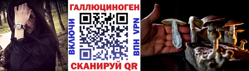 Галлюциногенные грибы Magic Shrooms  Новохопёрск 